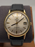 Omega Seamaster w/ facited dial