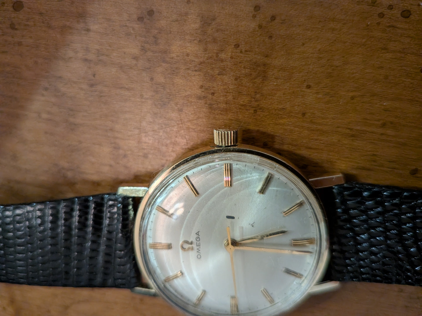 Omega Manual
